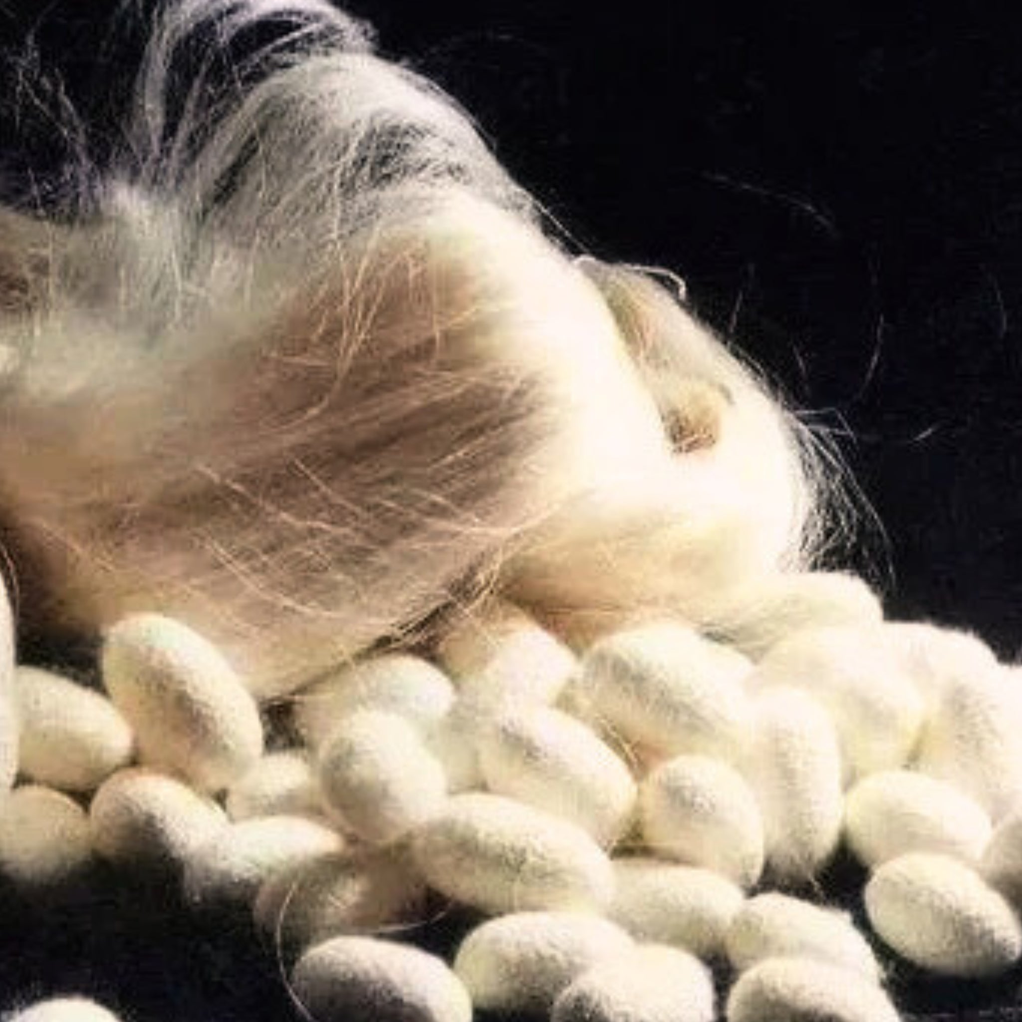 What is Silk Momme? The Essential Guide to Silk Weight and Durability